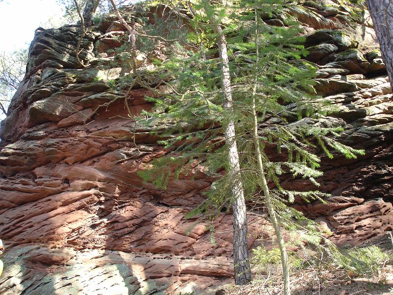 dsc02468.jpg