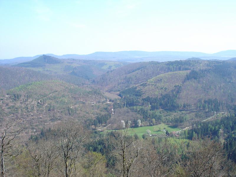 dsc02479.jpg