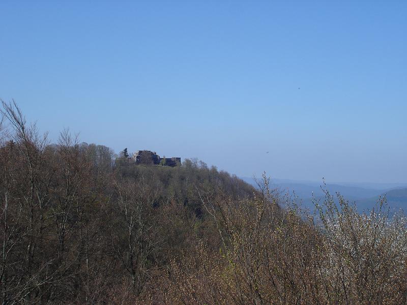dsc02488.jpg