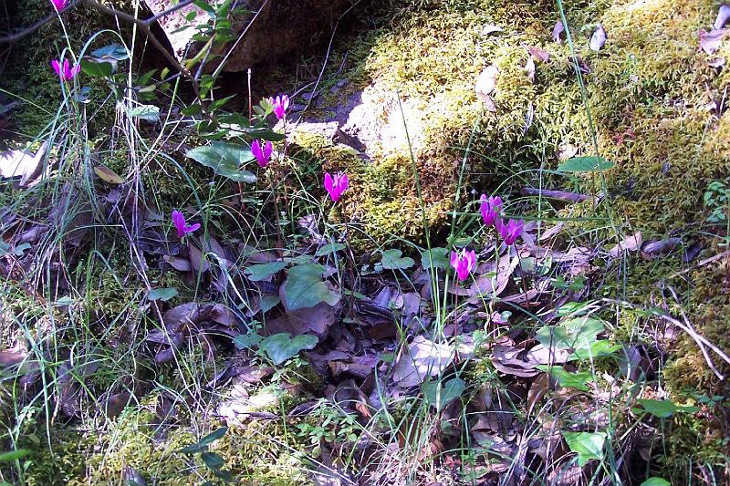 100_3631.JPG