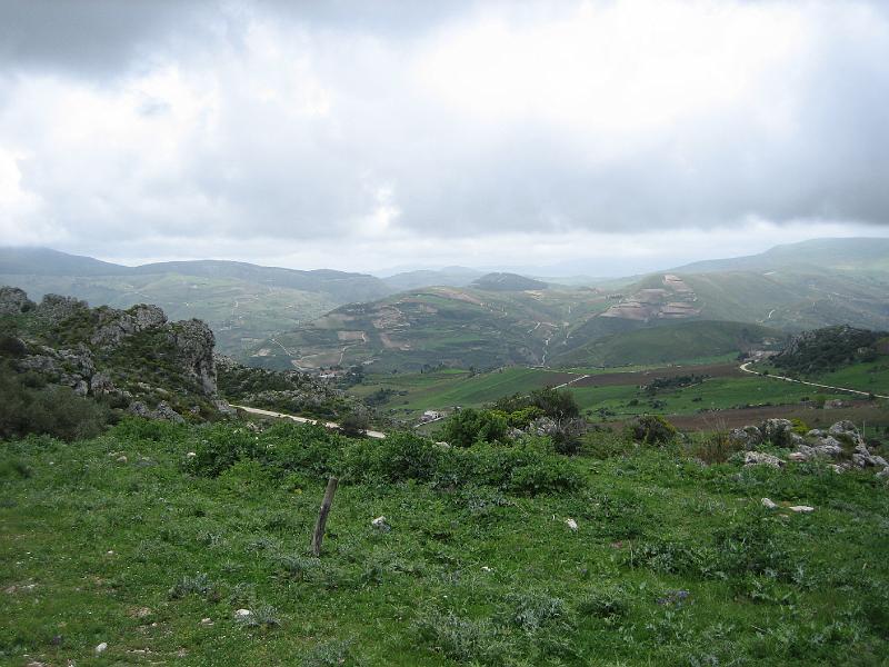 img_4470.jpg