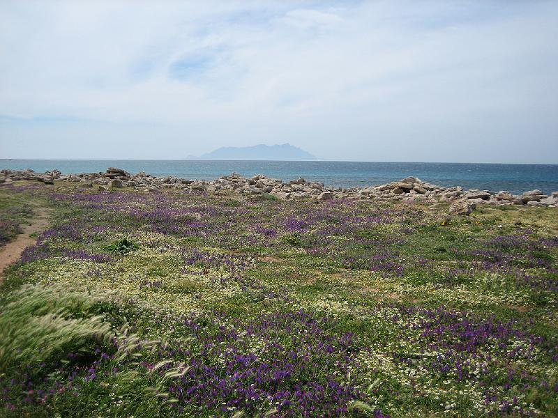 img_4726.jpg