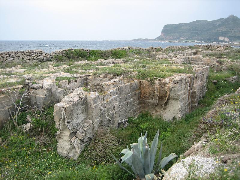 img_4752.jpg