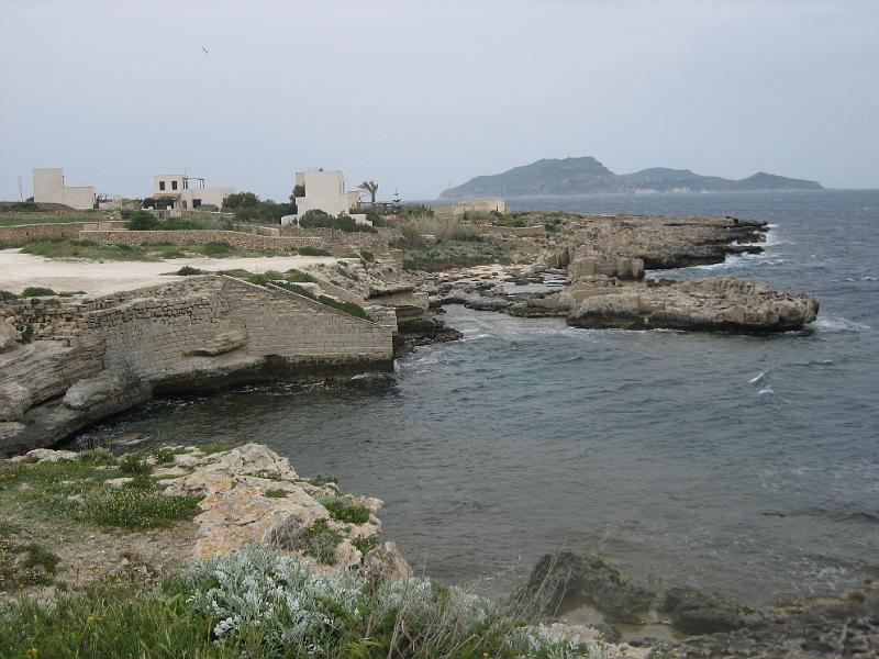 img_4805.jpg