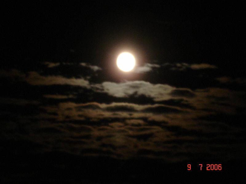 dsc02060.jpg
