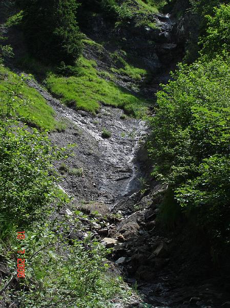 dsc02077.jpg