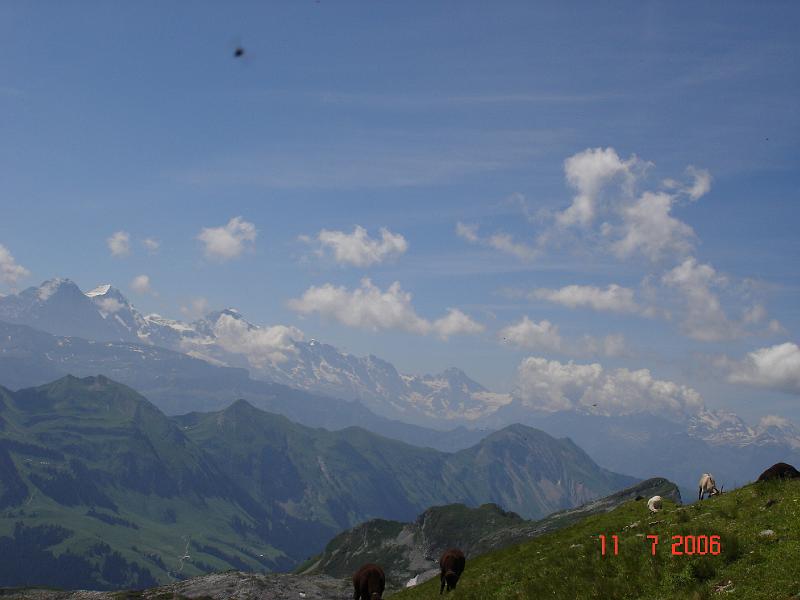 dsc02102.jpg
