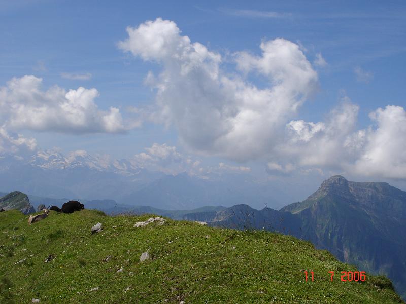 dsc02107.jpg