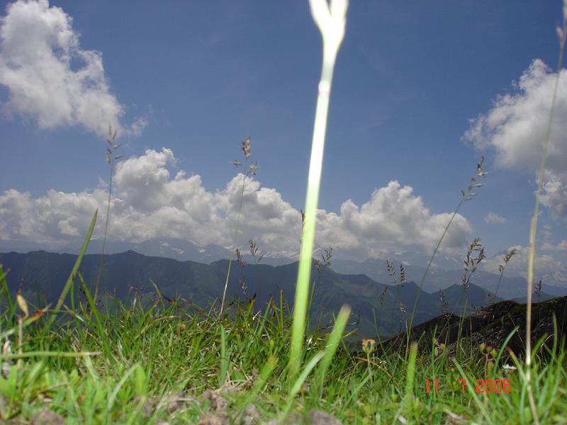 dsc02130.jpg