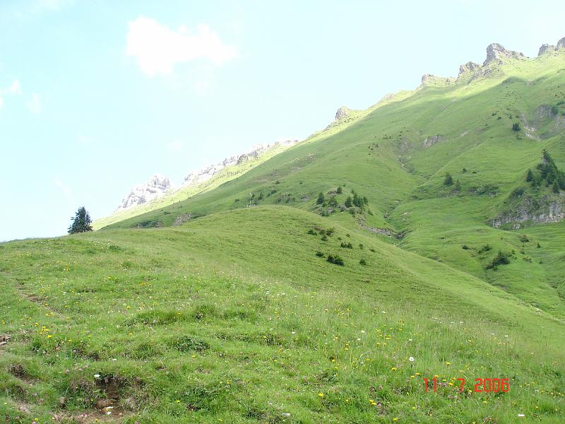 dsc02135.jpg