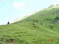 dsc02135
