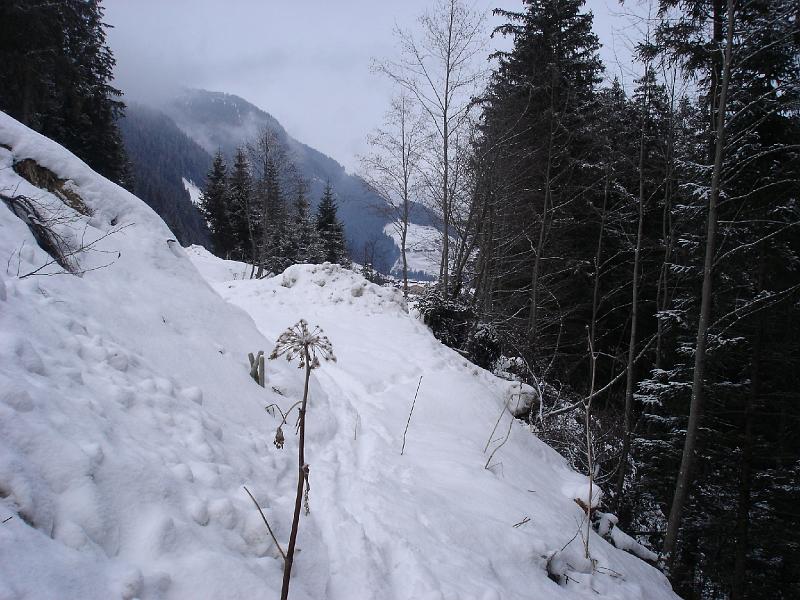 hintertux-88.jpg