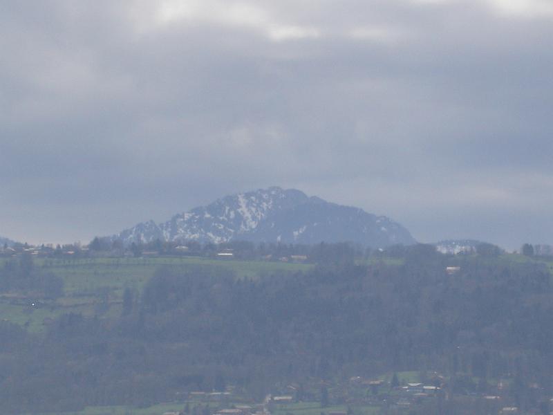 dsc01814.jpg