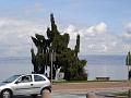 dsc01802