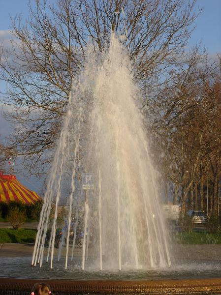 dsc01790.jpg
