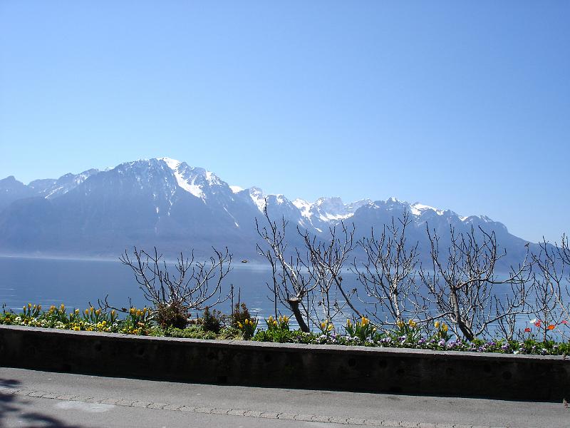 dsc01676.jpg