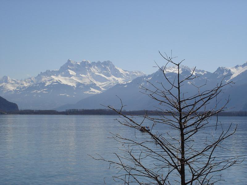 dsc01687.jpg