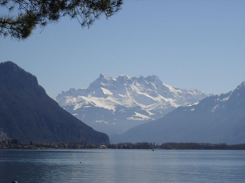 dsc01700.jpg